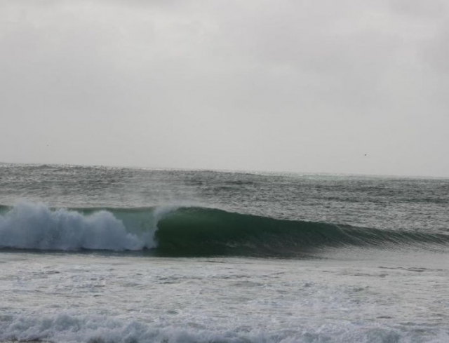  Escuela de surf Lege Cap Ferret 